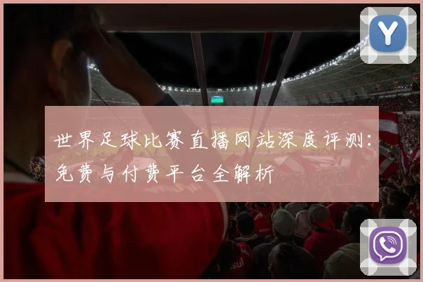 世界足球比赛直播网站深度评测：免费与付费平台全解析